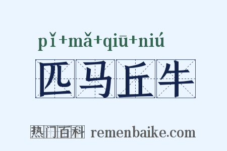 匹马丘牛是什么意思的图片